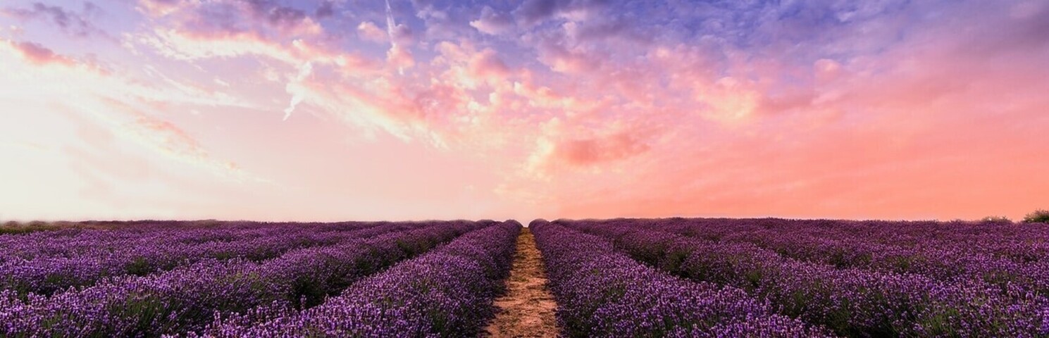 Mountain Path